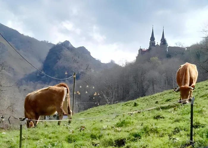 Turisticos La Estacion * Covadonga