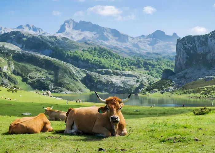 Turisticos La Estacion Appartement Covadonga